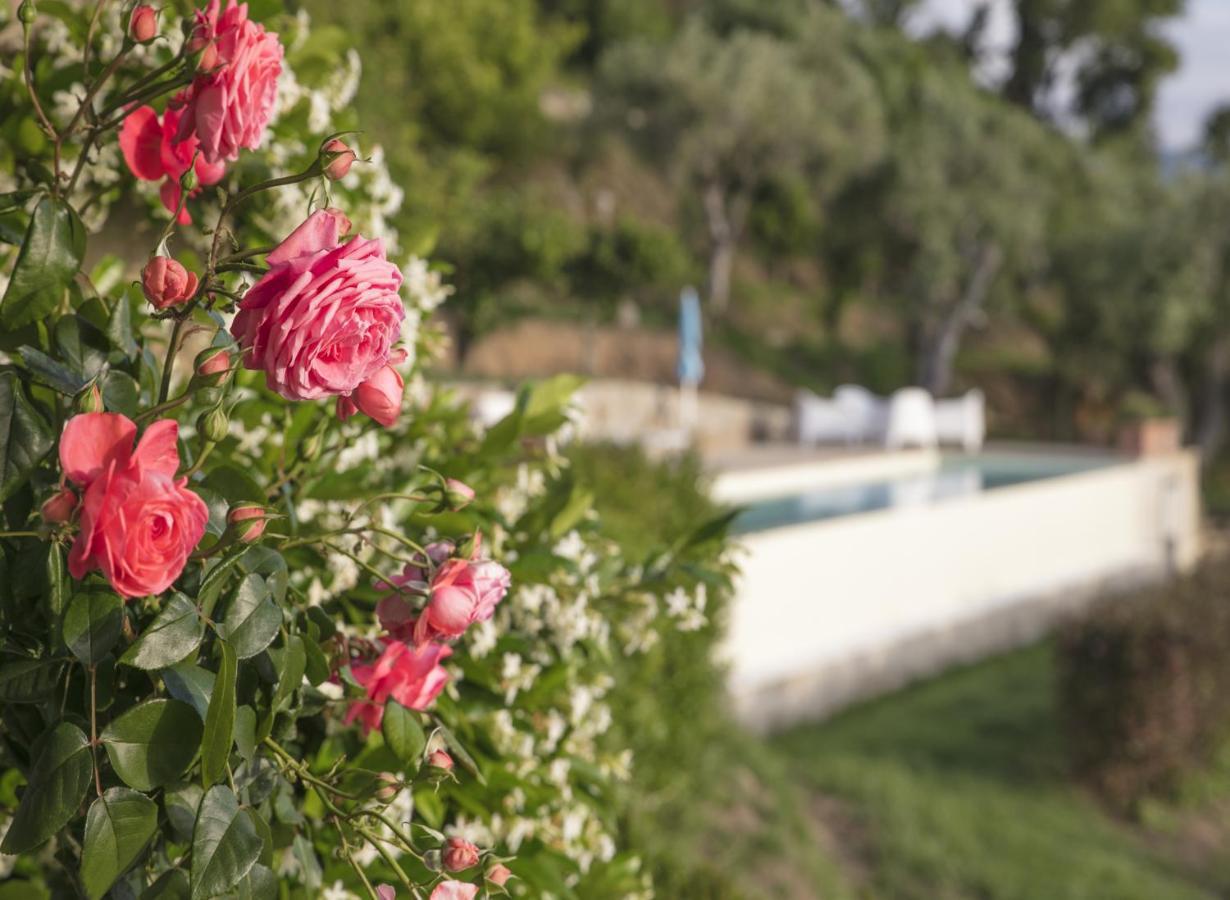 Villa Laura Capo dʼOrlando Exteriér fotografie